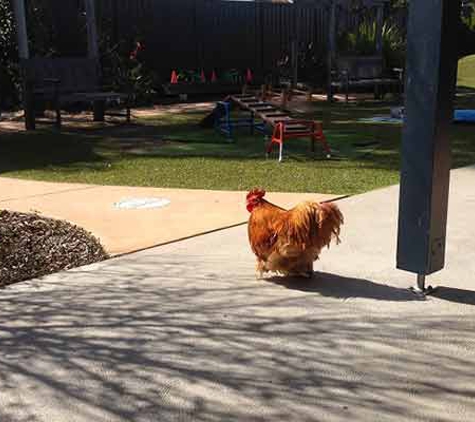 Tillys Play & Development Centre - Abermain, NSW