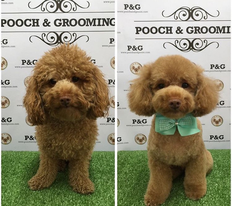 Pooch & Groom - Temple City, CA