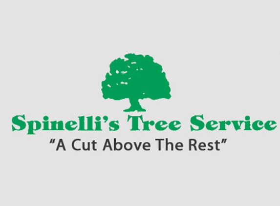 Spinelli's Tree Service - Monroeville, NJ