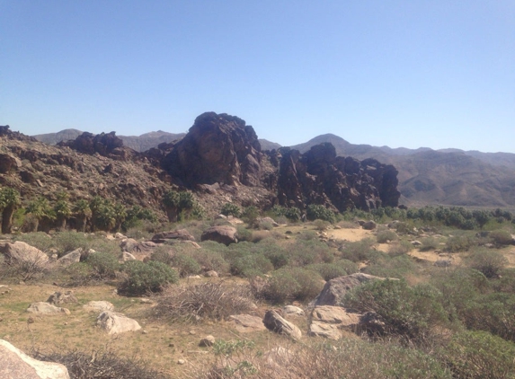 Indian Canyons - Palm Springs, CA