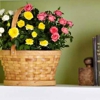 Nana's Flowers & Gifts gallery