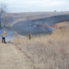 Quercus Land Stewardship Services