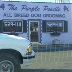 The Purple Poodle