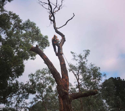 BSK tree services pty ltd