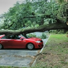 Pete and Ron's Tree Service Inc