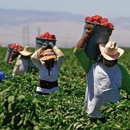 Aztec Foreign Labor - Farming Service