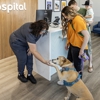 Livewell Animal Hospital of Edmond gallery