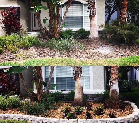 Insignia Landscape - Tampa, FL