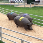 Vermont State Fair