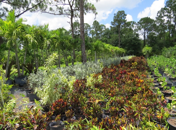 M&L Nursery - Loxahatchee, FL