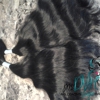 Ms. Deaon's Virgin Hair LLC gallery
