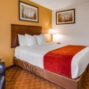 Best Western Lakewood Inn gallery