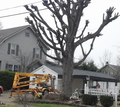 Fagan Tree Service - Volant, PA