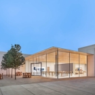 Apple Cherry Hill