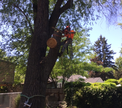 Tree -Mend-Us - Medford, OR