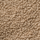 Murcias Carpet Cleaning - Carpet & Rug Cleaners