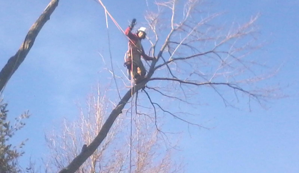 McQuillin Tree Care Specialists - Delta, OH