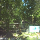 Iguana Pools - Swimming Pool Construction