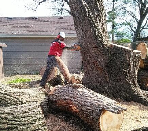 Smitty's Tree Service Inc. - Alsip, IL