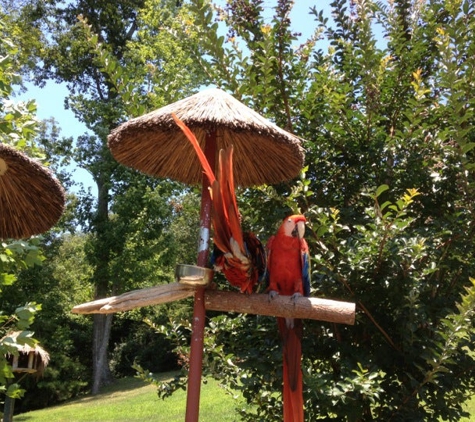 Parrot Mountain & Gardens - Pigeon Forge, TN