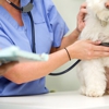 Blue Ravine Animal Hospital gallery
