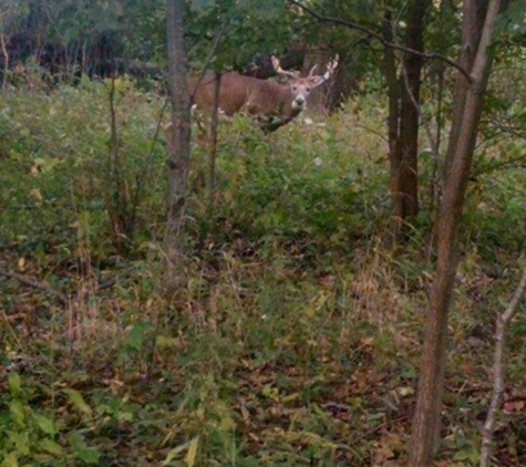 Coffee Creek Watershed Conservancy - Chesterton, IN