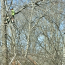 Chesapeake Tree Guys - Tree Service