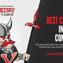 Viking Pest Control - Termite Control