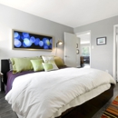 Monticello Apartments - Apartments