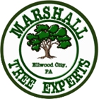 Marshall Tree Experts