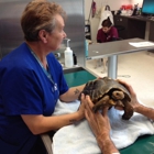 Seven Hills Veterinary Hospital