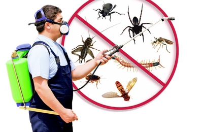 Plunkett's Pest Control Services 210 N Main St, Fairmont ...