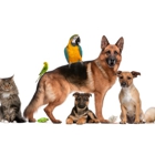 Animal Emergency & Pet Care Clinic of The High Country
