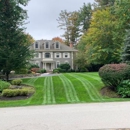 In The Weeds Turf Care - Sod & Sodding Service