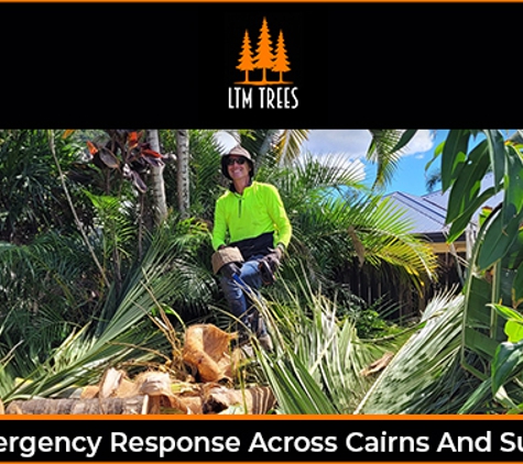 LTM Trees. Fast Emergency Response Across Cairns And Surrounds