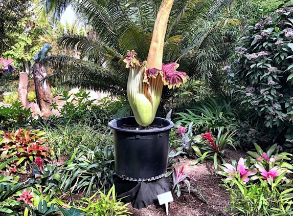 San Diego Botanic Garden - Encinitas, CA