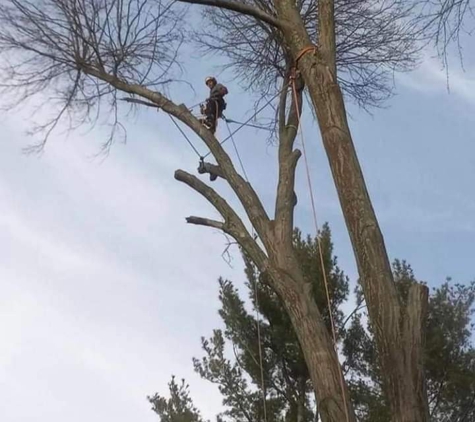 Larry''s Family tree service LLC - Parkersburg, WV