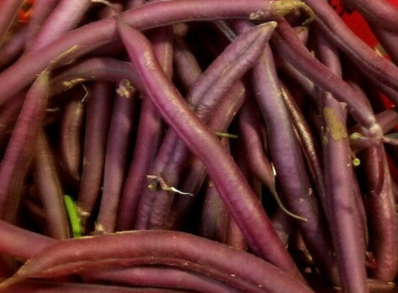 Bronkberry Farms - Plainfield, IL