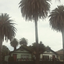 Lapl Venice Abbot Kinney Memorial - Libraries