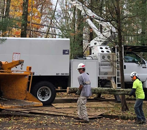 Arbortech Tree Inc - Coventry, CT