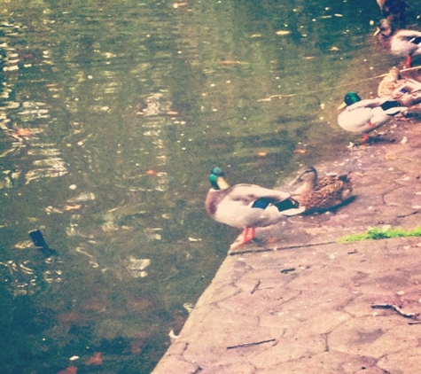 West Hudson Park - Harrison, NJ