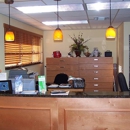 Wellington Smiles - Dentists