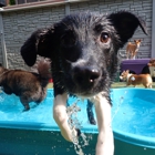 Tucker Pup's Pet Resort