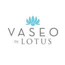 Vaseo Townhomes - Apartments