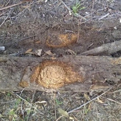 Gallery Image Number 3