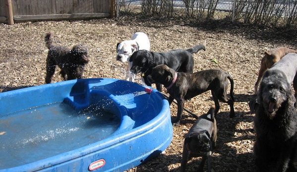 Pet Recess Inc - Middleboro, MA