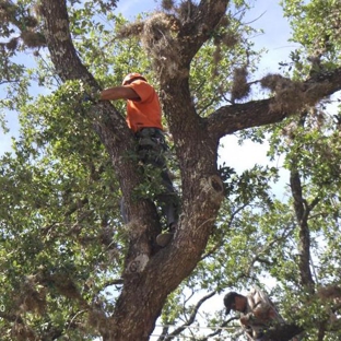 JLP Tree Service