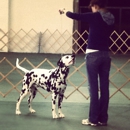 Catoctin Kennel Club - Dog Training