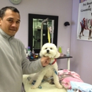 Quibus Paws 2 Pet Boutique & Grooming Salon - Pet Services