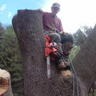 KINGS TREE SERVICE